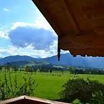 Herzog